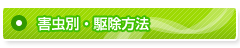 �Q���ʁE�쏜���@